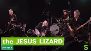 the Jesus Lizard