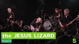 the Jesus Lizard