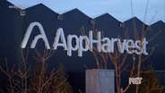 AppHarvest Files for Bankruptcy