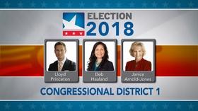 Video thumbnail: NMPBS Election Coverage 2018 First Congressional District Candidate Forum