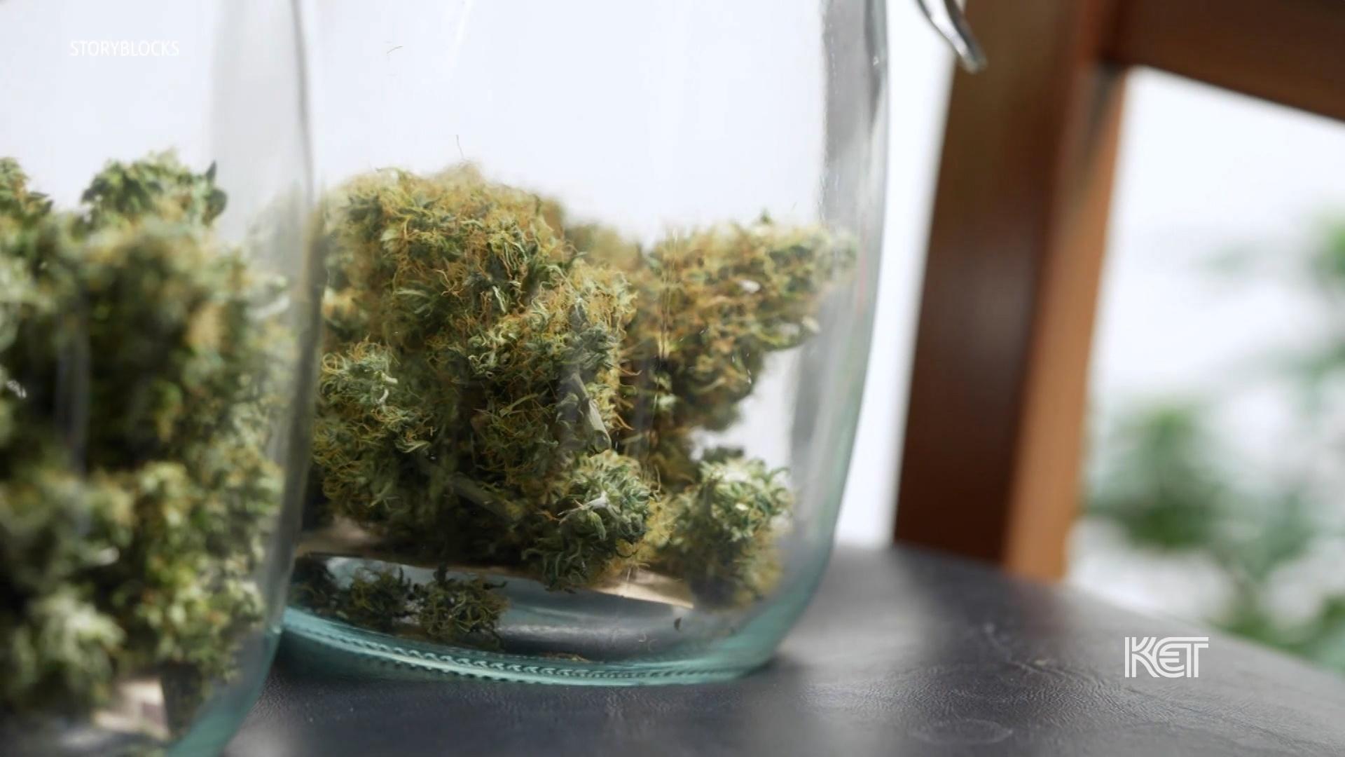 Kentucky's Medical Marijuana Program