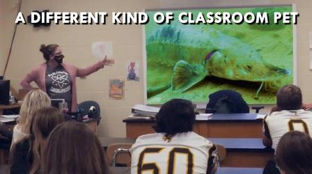 Video thumbnail: Great Lakes Now Classroom Nmé