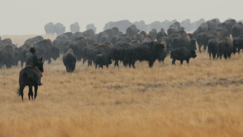 Bring Them Home Image