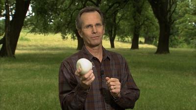 Harvesting Knowledge: Onions