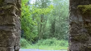 Melmont Ghost Town