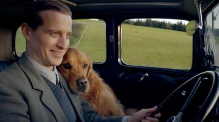 Video thumbnail: All Creatures Great and Small Get Swept Away