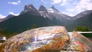 A Symphony Of Colour