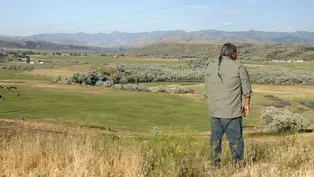 Reclaiming Bear River | WILD HOPE
