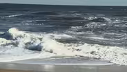 Environmental scientists urge more straight talk on oceans