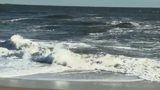Environmental scientists urge more straight talk on oceans