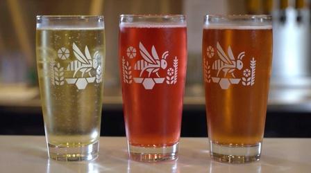 Video thumbnail: tasteMAKERS Bløm Meadworks