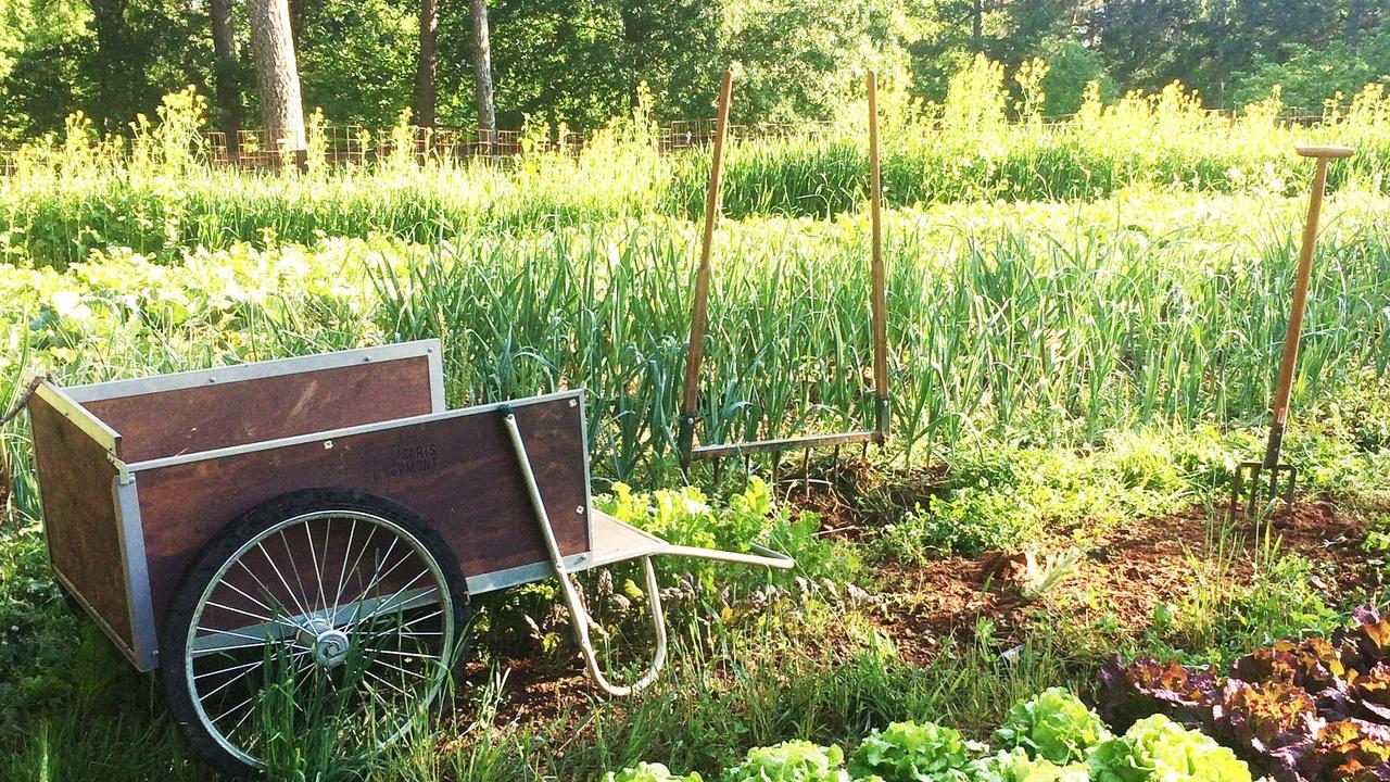 Growing a Greener World Sonoma Valley Worm Farm: Where Are They Now? airing Sat, Aug 8 10:00 am