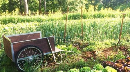 Video thumbnail: Growing a Greener World Sonoma Valley Worm Farm: Where Are They Now?