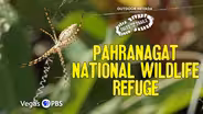 Pahranagat Loop at Pahranagat National Wildlife Refuge