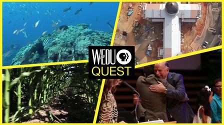 Video thumbnail: WEDU Quest Episode 311