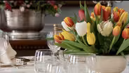 Celebrating spring with 10,000 tulips