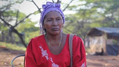 Rosa Lopez - Wayuu