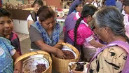 Coffee and Culture in Oaxaca