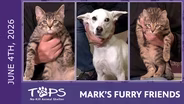 6/4/2026 | Foster, Fundraiser and Poppy | Mark's Furry Friends
