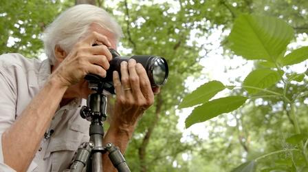 Video thumbnail: Broad and High Nature Photographer Rick Braveheart