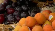 Healthy Snacks – English