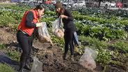 Grow Soil Health with Mushroom Blocks