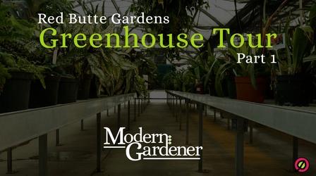 Video thumbnail: Modern Gardener Red Butte Garden Greenhouse Tour
