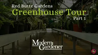 Red Butte Garden Greenhouse Tour