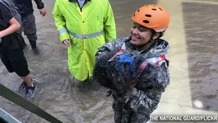 SAVING PETS AFTER HARVEY