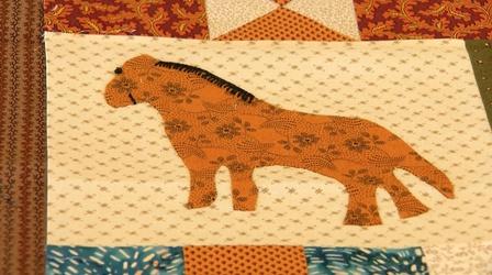 Video thumbnail: Charlottesville Inside-Out Charlottesville Area Quilters Guild / Women in Tech