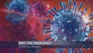 Is It COVID-19 or Allergies?