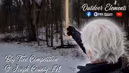 St. Joseph County Big Tree Competition