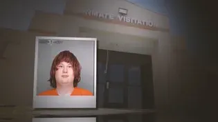 Living in Limbo: Mental Health and the Court System