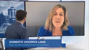 Illinois Lawmakers on Updated Domestic Violence Laws