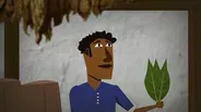 Influence of Tobacco on Jamestown