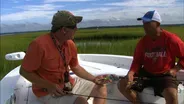 Tagging Expedition: Grey Trout | Gear Time