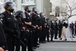 Calls for reform have not reduced number of police killings