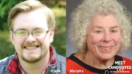 Video thumbnail: Almanac North Meet Your Candidates: Minnesota House District 3B