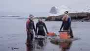 The Lofoten Islands (Lofoten)