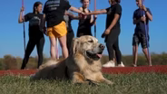 Deafinitely Dogs!
