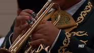 Mariachi Escudo