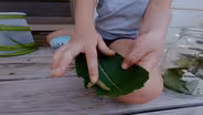 Raising Nebraska at the Nebraska State Fair