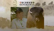 Return of the Buffalo, Part 1