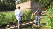 Testing Soils for Raised Beds & Applying Fungicides and Herbicides