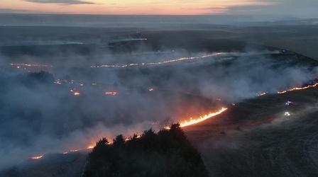 Video thumbnail: Backyard Farmer Bagworms & Wildfire Suppression