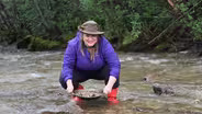 Yukon Gold Rush And The Islands Of Newfoundland
