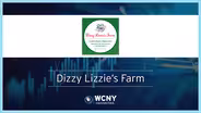 Dizzy Lizzie's Farm