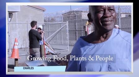 Video thumbnail: Immense Possibilities Growing Food, Plants & People - Preview