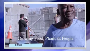 Growing Food, Plants & People - Preview