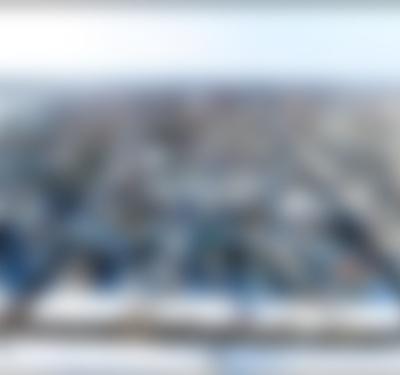 Assignment: Maine